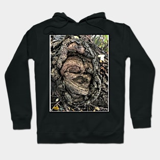 FEMALE SPIRIT AN OAK TREE By Yannis Lobaina Hoodie